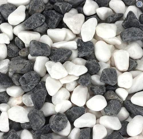 Dncvb Dekosteine 900g Deko Steine Dekosteine für Vasen Ziersteine für Blumentöpfe Kleine Deko Steine, Dekosteine für Sukkulenten, Aquarium, Blumentopf, Haus und Garten (Weiß)