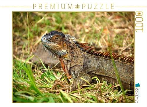 CALVENDO Puzzle Grüner Leguan | 1000 Teile Lege-Größe 64 x 48 cm Foto-Puzzle für glückliche Stunden