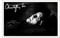 CHRISTOPHER LEE Signed 6X4 Inch Photo Print Pre Printed Signature DRACULA Autograph Gift