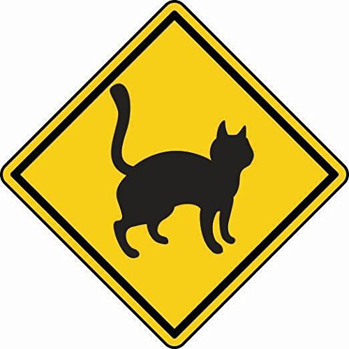 U24 Aufkleber Vorsicht Katze Katzen Kätzchen Kater Autoaufkleber Sticker
