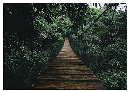Fototapete Dschungel 3D Effekt Brücke Wald grün Natur 368x254 cm - inkl. Kleister - für Wohnzimmer Schlafzimmer Flur Vlies Tapete Wandtapete Vliestapete Motivtapeten Montagefertig