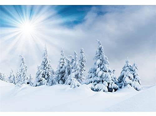 Winter Schnee Hintergrund 450x300cm 3D-Wald, Schnee, Kiefer, Fotografie-Hintergründe, Winter, Sonnenschein, Schneeszenen, Neujahrsparty-Dekoration, Banner