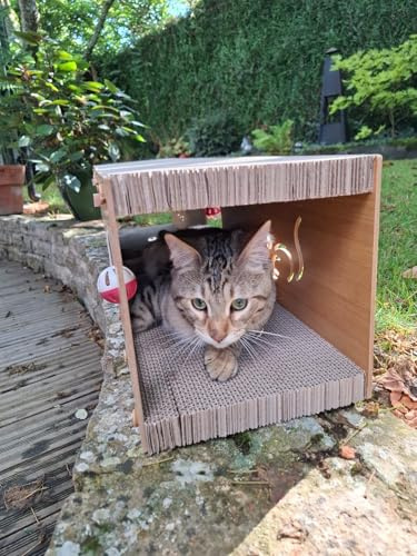 Tunnel à gratter pour Chats, Jouet interactif, Arbre à Chat, Tunnel de Jeu