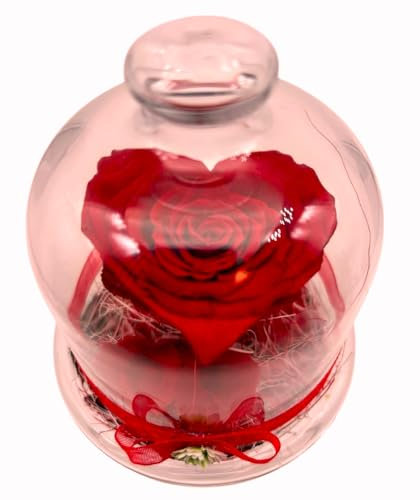 Rose ETERNELLE Rouge- Rose en Forme de cœur - Dôme en Verre avec Pied - Rouge Naturelle préservée - Décoration Romantique - Amoureux - Anniversaire - Anniversaire