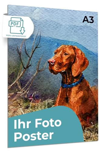 Cimpress Poster personalizzato con foto e testo, formato A3 (29.7 x 42cm) | Aggiungi la tua foto e il tuo testo per creare una decorazione da parete personalizzata, ideale per casa, ufficio o regalo.