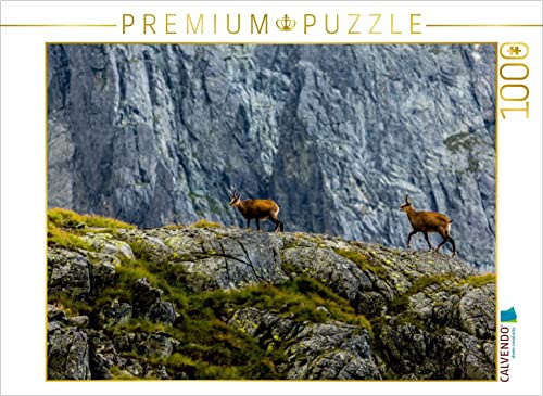 CALVENDO Puzzle Die Gämse, Slovakei | 1000 Teile Lege-Größe 64 x 48 cm Foto-Puzzle für glückliche Stunden