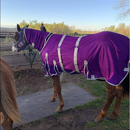 TECH EQUESTRIAN Hochbelastbares Fliegendecke für Pferde mit abnehmbarem Bauchband, Sommerlaken für Pferde (84, Violett)