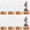SUNNYCLUE 12 mini Couvercle en Forme de Dôme en Verre de 30x50 mm, Mini Pot en Verre, Affichage en Verre, Cloche en Verre avec Base en Liège, Mini Cloche, Petites Bouteilles en Verre pour Mariage, Mai