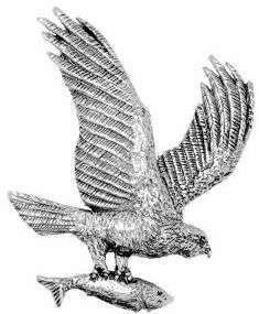 Zinn Osprey Brosche / Krawattennadel / Anstecknadel / Anstecker, Motiv: Fischadler mit Fisch, Geschenk
