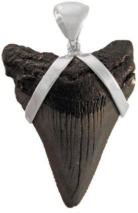 Fossiler Mako Haifischzahn Sterling Silber Anhänger