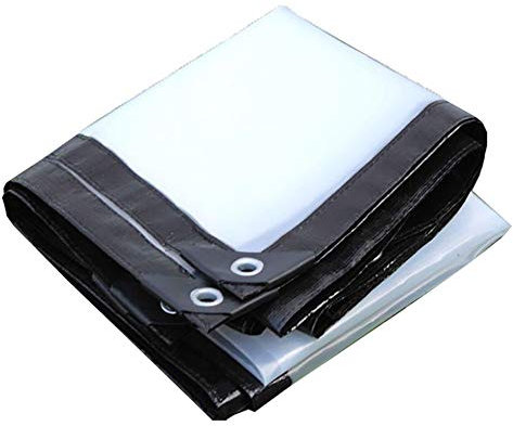 ALGFree Zelt Markisen Transparent Plane Verdickt Rand Perforiert Wasserdicht Plastikfolie Fenster Balkon Blumen Ernte Gewächshaus (Color : Clear, Size : 3×4m)