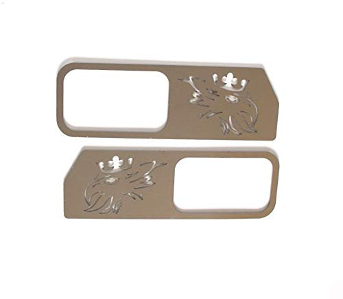 TRUCKDANET Accessori in Acciaio Inox per Camion, cornici luci Carena