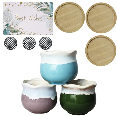 BeGrit Maceta de Cerámica Paquete de 3 Macetas Suculentas Pequeñas Regalos de Decoración para Mujer con Tarjeta de Felicitación Mini Maceta de Cactus para Plantas Macetas Decorativas Interior
