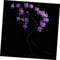 Yardenfun Rosenbaum Lichter Schlafzimmer Blumenlampen Blumenrosenlampe Blumendekor Schreibtischlampe Tischlampen Rosenbaum-LED-Lampe LED-Rosenlampe einzigartig schmücken Laterne PVC Violett