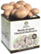 Merryhill Mushrooms - Fresh Chestnut Mushroom Growing Kit | Gardening Gifts for Women, Men & Kids | Grow Your Own Kits | Easy & Delicious to Eat | Mushroom Gifts (One Chestnut Mushroom Grow Kit)