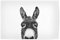 artboxONE Poster 45x30 cm Tiere Peeking Donkey hochwertiger Design Kunstdruck - Bild Donkey Black and White Donkey