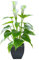Beebel Künstliche Calla-Lilie, künstliche kleine Topfpflanze mit schwarzem Topf, künstliche Bonsai-Blume für Zuhause, Büro, Innen- und Außenbereich, Dekoration (weiße Kunstblume)