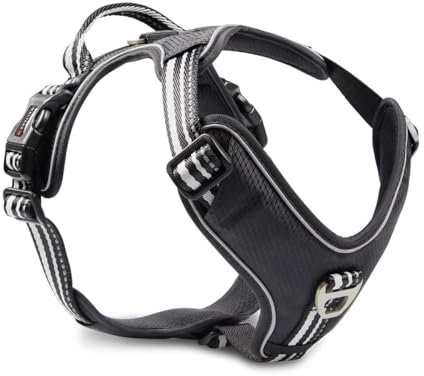 Wolters Geschirr Active Pro, Größe:45-52.5 cm, Farbe:schwarz/schwarz