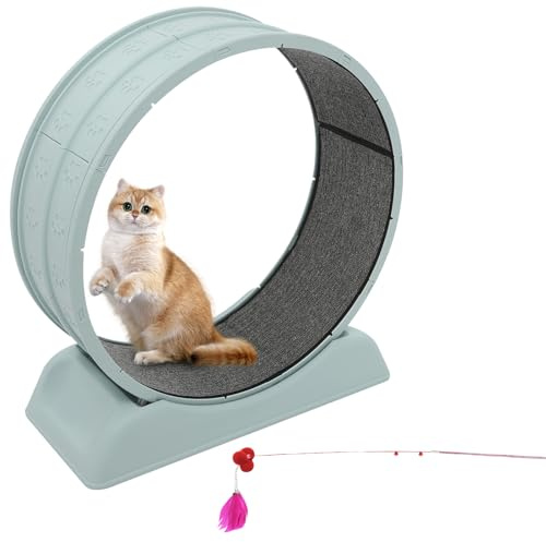 LKHDONG Katzenlaufrad 80cm Laufband für Katzen, Leises Katzen Laufrad Katzenlaufrad für Hauskatzen, Cat Wheel mit Teppichboden und Katzenangel, Trainingslaufrad für Haustiergesundheit (Blau)