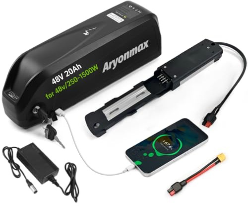 Batteria Ebike, 36V 48V 25Ah 25Ah 13Ah Batteria Litio Hailong Bici Elettrica con Caricabatterie/Piastra Base 4Pin o 5Pin / Cella Grado A (48V 20Ah 4-Pin,+USB)