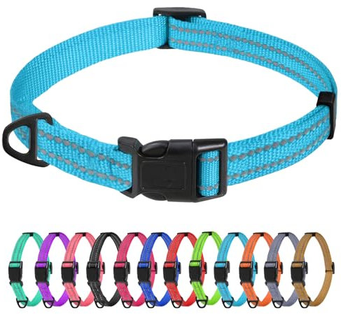 TagME Nylon Hundehalsband, Verstellbares Reflektierendes Hundehalsband mit Sicherheitsschnalle für Extra Kleine Hund, Himmelblau, 1.5cm Breite