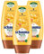 Schauma Nature Moments Kaktusfeigenöl & Honig Elixier, (3x 200ml)