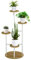 Outsunny Soporte para Plantas de 4 Niveles Estantería para Macetas Soporte para Macetas con Marco de Acero para Interior Salón Dormitorio Terraza Jardín Balcón 40x40x95,5 cm Natural