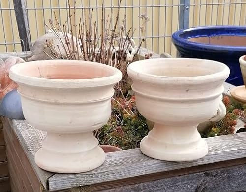 Generisch 2er Set - rustikaler Blumentopf echt Terrakotta ca. 23 cm breit Garten Wohnung Deko Sommer Pokal Pflanztopf