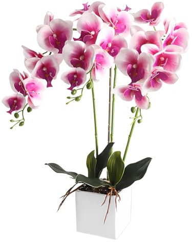 cailion Künstliche Orchideen Kunstblumen Künstliche Phalaenopsis Orchidee Bonsai künstliche Blumen mit Imitation Gefälschte Orchideen für Wohnzimmer Badezimmer Tischdekoration (pink1)