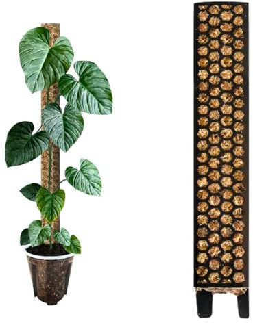 Nils der Pflanzenfreund® Moosstab 40 cm (L) 1 Stück, Schwarz – Moss Pole, erweiterbare Rankhilfe für Monstera & Kletterpflanzen, Pflanzenstab für Indoor Pflanzen