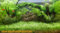 400 l Wasserpflanzen Set Wiese mit Brücke (22)