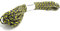 WINGONEER Fallschirmschnur Paracord, mit 7 Strängen, 550 lbs, 100 ft - lila + gelb