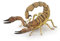 Papo 50209 0, Skorpion, Spiel, Mehrfarbig, Medium
