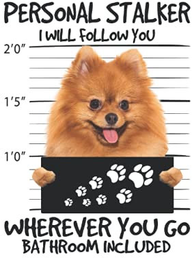 Pomeranian Spitz Kalender 2023: Pomeranian Spitz: Wochenplaner 6x9 Zoll mit 120 Seiten | Pomeranian Spitz Kalender 2023