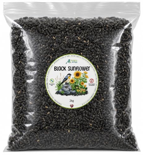 Wild Bird Food (2kg, Black Sunflower)