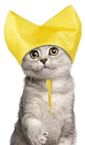 Bonnets de Douche pour Chats, Bonnet de Bain Imperméable Chaton, Housse de Protection des Oreilles pour Chats et Petits Chiens, Bain, Toilettage, Pluie