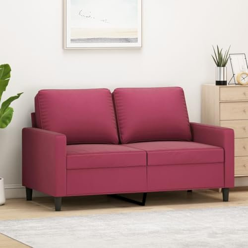 Emmtore Sofa 2-Sitzer, Loungesofa Couch mit Armlehnen Rückenkissen, Wohnzimmersofa Designsofa mit Metallgestell, Sitzmöbel Zweisitzer Samt,Weinrot,120 cm