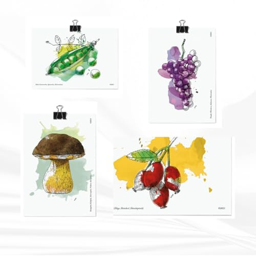 531 Rheinland Design Postkartenset, 16 Obst und Gemüse Postkarten