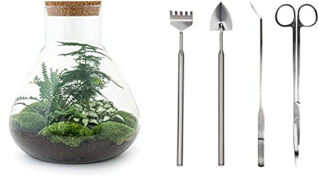 Flaschengarten • Sam XL • Ökosystem mit Pflanzen im Glas • ↑ 35 cm - DIY - Terrarium Komplett Set - Pflanzenterrarium - urbanjngl | Terrarium + Rake + Shovel + Tweezer + Scissors