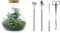 Terrarium végétal - Sam XL - Ecosystème végétal -↑35 cm - Jardin en Bouteille - Bricolage - Kit de Bricolage - Ensemble Complet de Terrarium - Mini écosystème avec Plantes en Bouteille