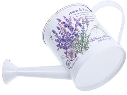 TOPBATHY Großer Metall-blumentopf Gießkessel Mit Einzigartigem Design Blumengießkanne Für Indoor Und Outdoor-pflanzenbewässerung Kleine Gießkanne Aus Weißblech Praktische Gießkanne Als Deko