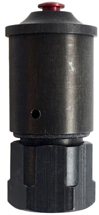 Alza - Válvula de Trabajo Compatible con Olla Express, Modelos OMEGA, SPACE, QUATTRO, EVALVE, TITAN, 17911204, 8413987002301