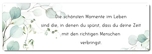 Interluxe Metallschild Schild - Die schönsten Momente Eukalyptus - Geschenk für Freunde Freundin Freundinnen Freundschaft Wohlfühlen