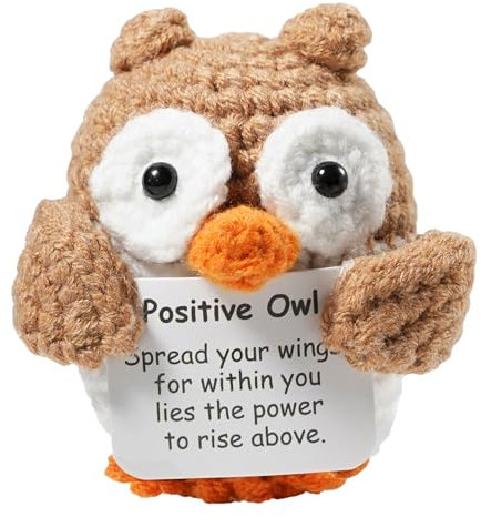 ICEKOOQIU Glücksbringer Geschenk, Positive Eule, Glücksbringer mit Umarmungen, kreative gestrickte Wolle Eule Puppen Spaß Geschenke für Freunde, Familie, Co-Worker, Geschenke für jeden Urlaub