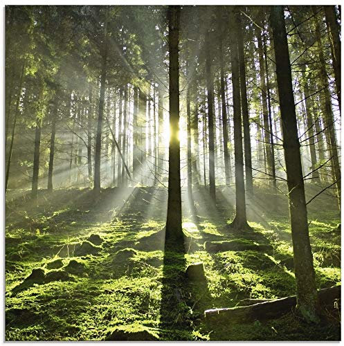 ARTland Wanddeko Glasbilder Wandbild Glas Bild einteilig Quadratisch Natur Wald Landschaft Sonne Bäume Moos Frühling Landhaus T5SV ARTland