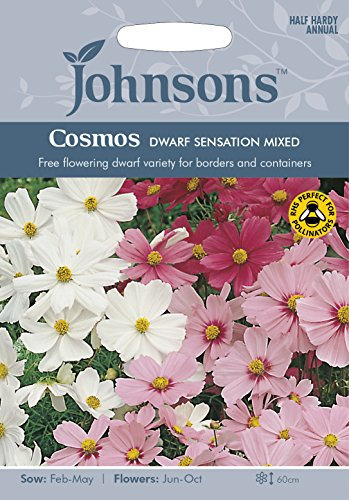 Johnsons 18817 Cosmos Dwarf Sensation Mixed