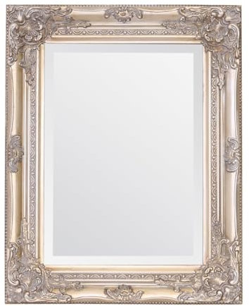 Select Spiegel Rhone Spiegel - French Vintage, Rokoko Barock Stil - 42 cm x 53 cm (Antiker Champagner)