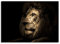 STYLER Glasbild Lion 70 x 100 cm I Wandbild aus Glas modern für Küche Wohnzimmer Badezimmer Schlafzimmer I schwarz groß XXL Hingucker groß Löwe bunt Löwenkopf