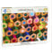 Twin Spring Goods 1000 Piece Jigsaw Puzzle, Colored Pencils, 1,000 pcs