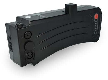 EXTENSILO Batterie Remplacement pour Samsung SDI Side-Click 24V, SDI-2511A pour vélo électrique (11,6Ah, 24V, Li-ION) - Noir